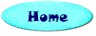 Home Button