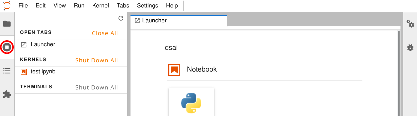 screenshot of kernel list showing a running kernel